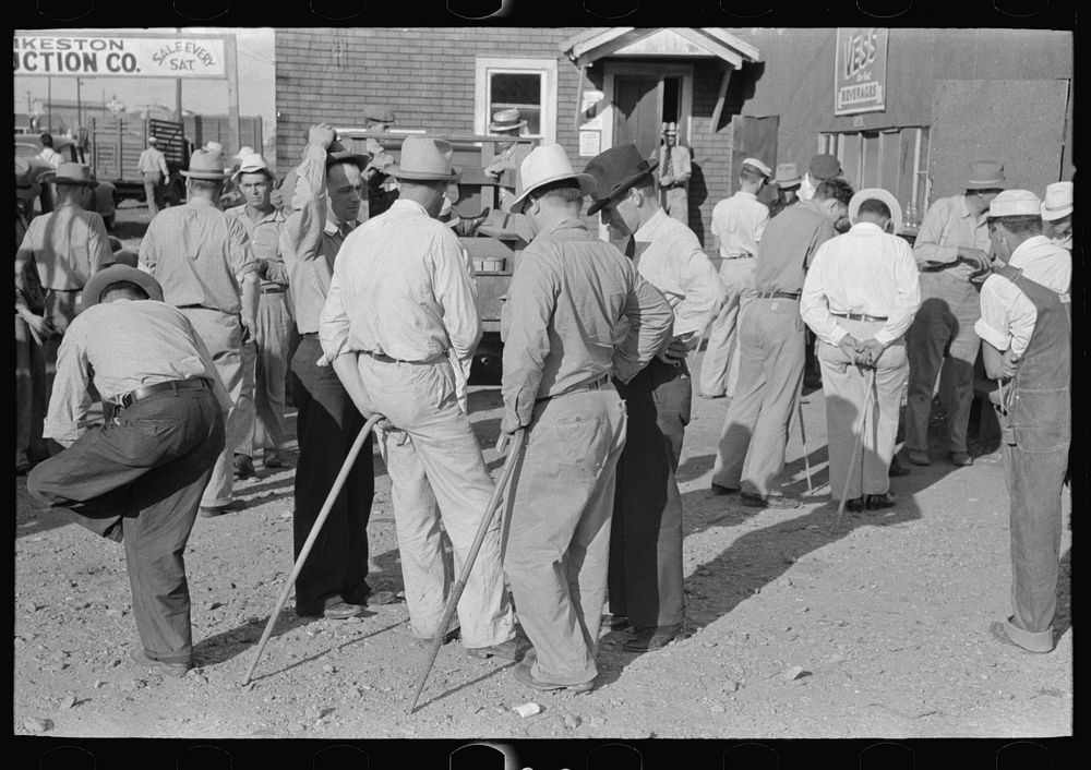 Group of farmers at auction with auction assistants resting on canes used for guiding livestock, Sikeston, Missouri by…