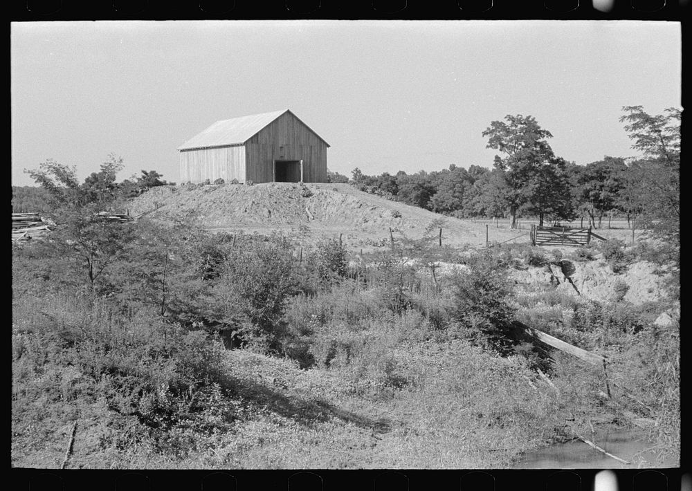 Barn on a hummock, New Madrid Fuse Plug Levee District, Missouri. These elevations are artificially made so as to be above…