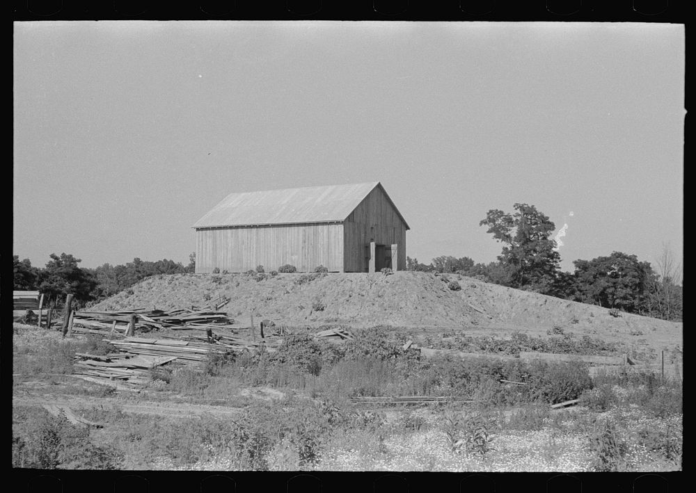 Barn on a hummock in Bird's Point, New Madrid Fuse Plug Levee District. Elevation is artificially made so as to be above…