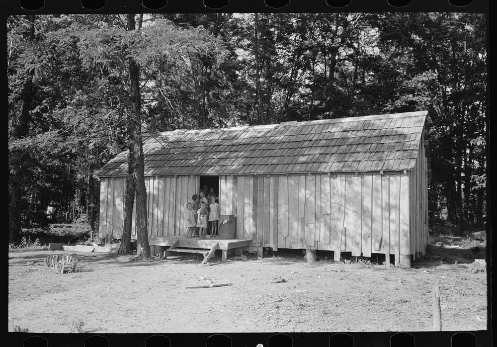 House without windows, home of sharecropper cut-over farmers of Mississippi bottoms by Russell Lee