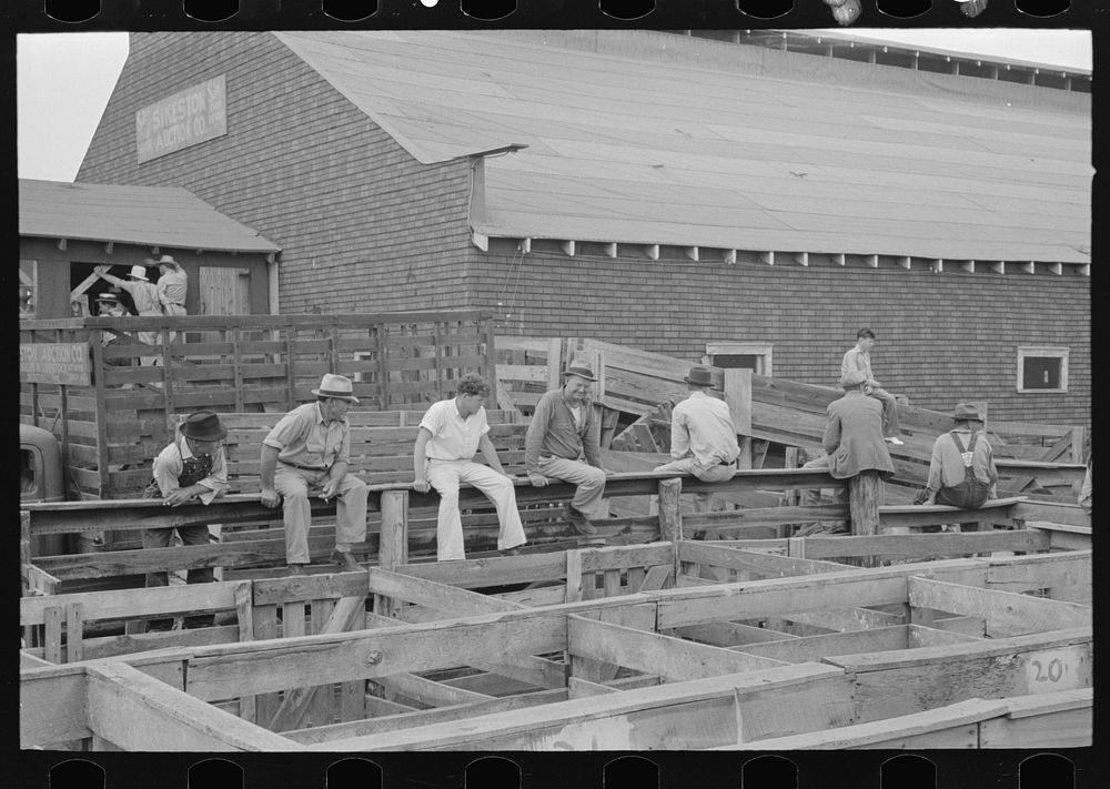 Farmers on fence looking at cattle in pen. Auction at Sikeston, Missouri by Russell Lee
