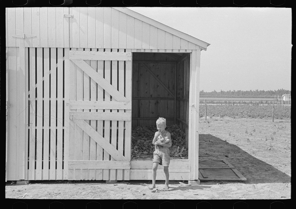 [Untitled photo, possibly related to: Southeast Missouri Farms. Child of FSA (Farm Security Administration) client getting…