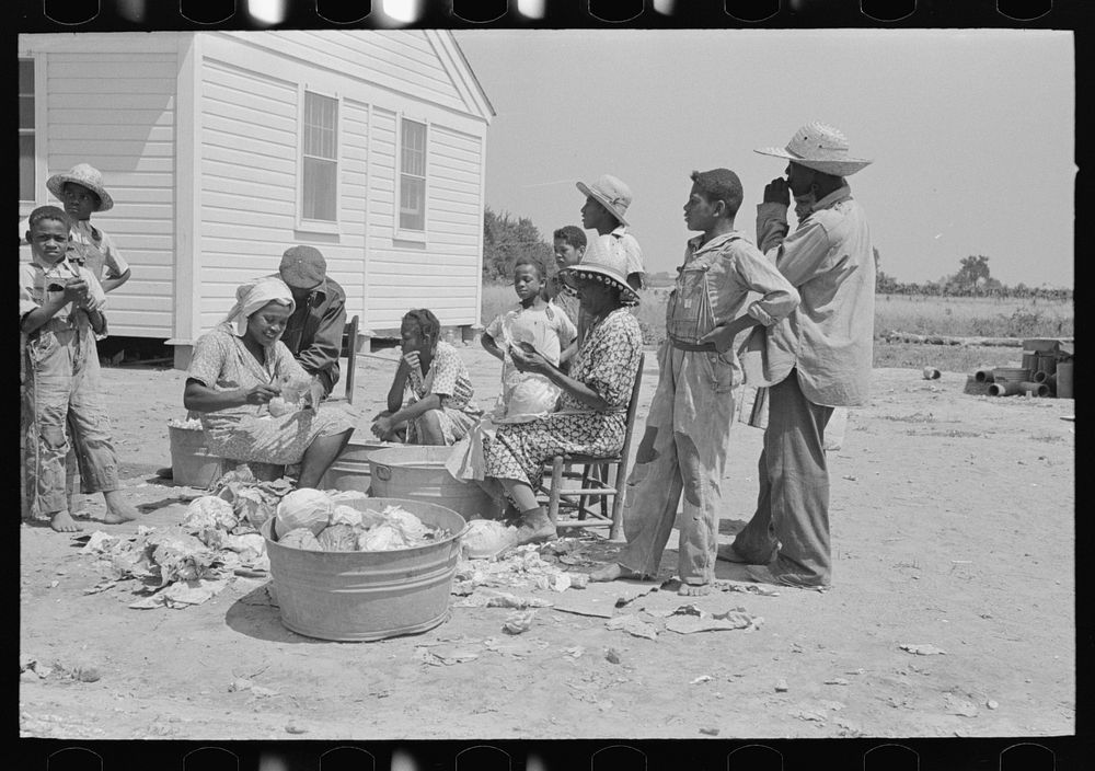 Southeast Missouri Farms. Family of FSA (Farm Security Administration) client shredding cabbage by Russell Lee
