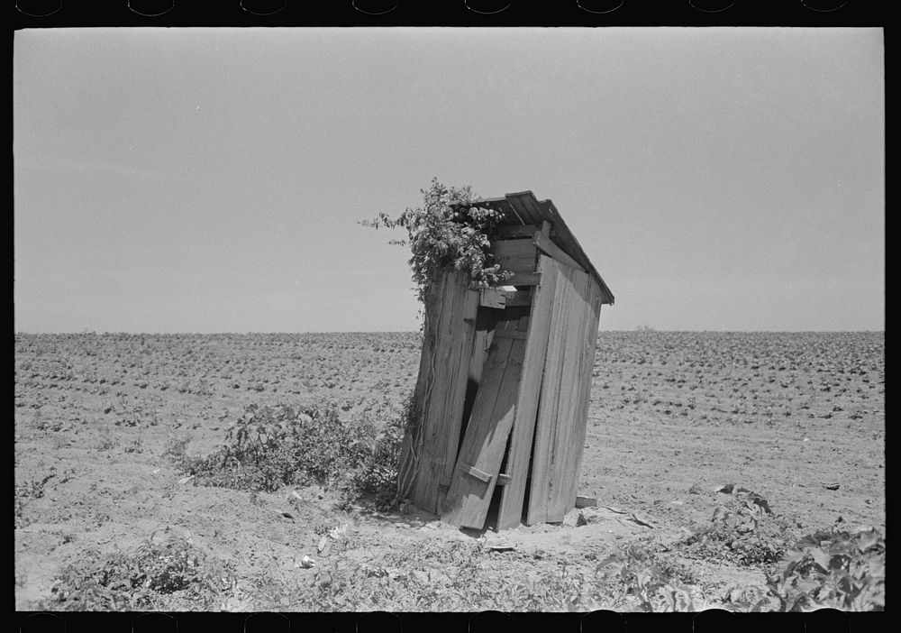 Sharecropper's privy, New Madrid County, Missouri by Russell Lee