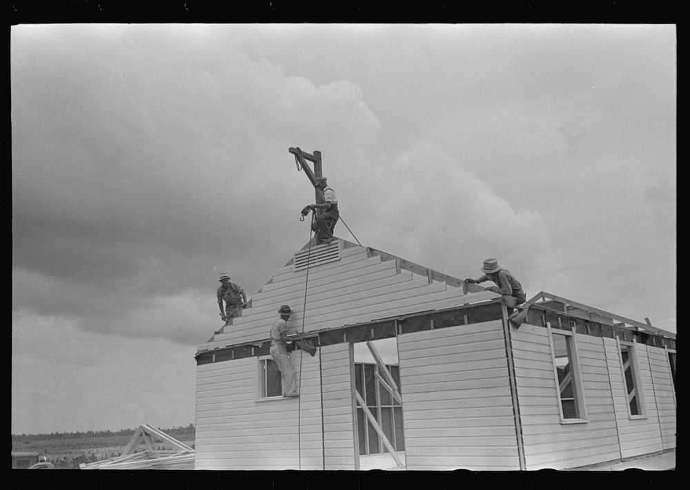 [Untitled photo, possibly related to: Barn erection. Gable panel is braced to rafters. Southeast Missouri Farms Project] by…