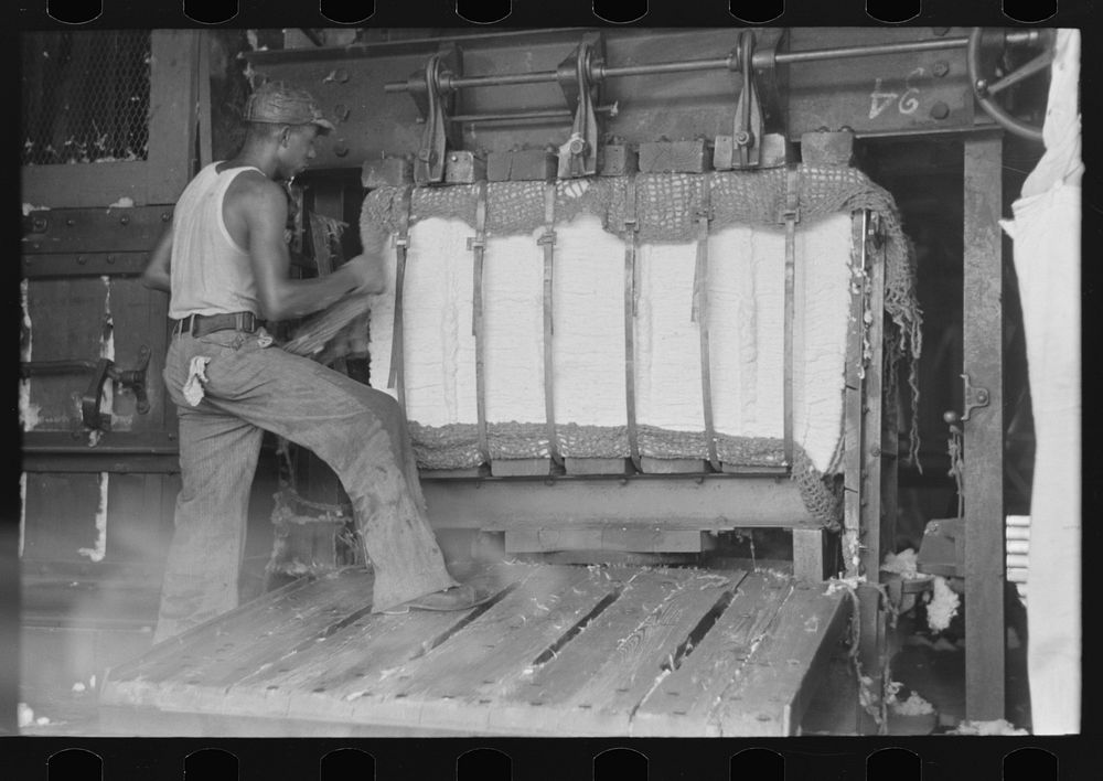 [Untitled photo, possibly related to: Painting identification marks on a bale of cotton, Lehi, Arkansas] by Russell Lee