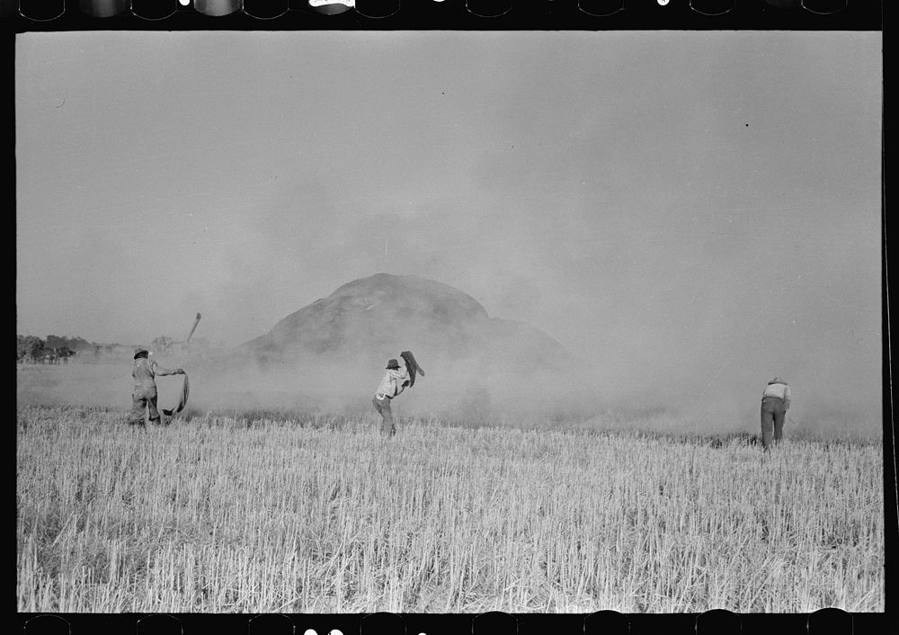 Fighting fire of rice straw stack in rice field near Crowley, Louisiana. Position of fire fighters give an idea of the the…