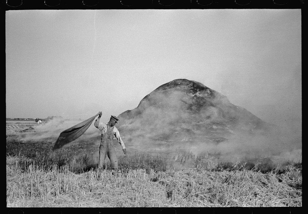 [Untitled photo, possibly related to: Fighting fire of rice straw stack in rice field near Crowley, Louisiana] by Russell Lee