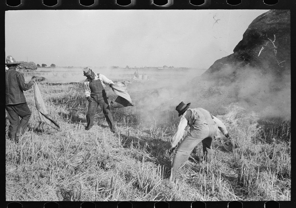 Fighting fire of rice straw stack in rice field near Crowley, Louisiana. Position of fighters gave an idea of intense heat…