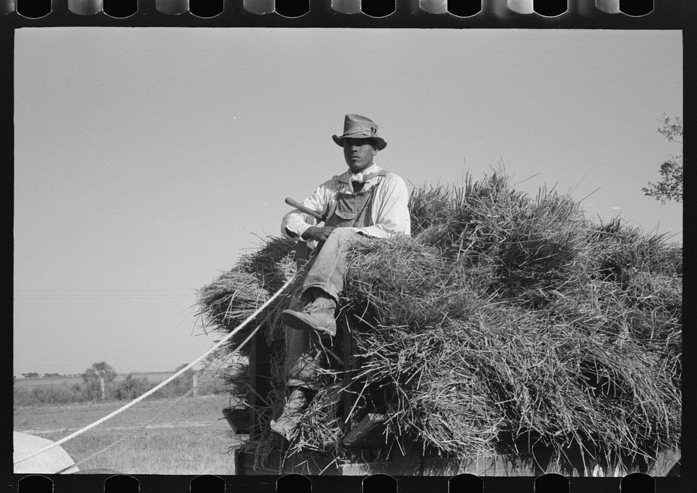 [Untitled photo, possibly related to: Harvesting rice, Crowley, Louisiana] by Russell Lee
