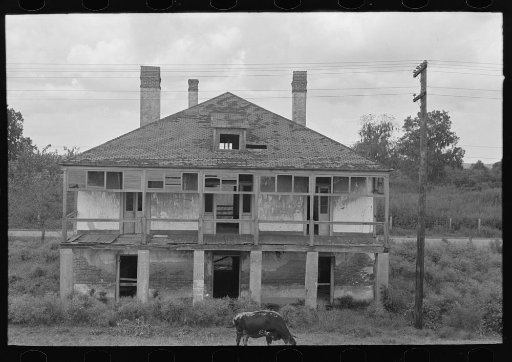 [Untitled photo, possibly related to: Abandoned plantation home, north of Destrehan, Louisiana. Lower floor is used as…