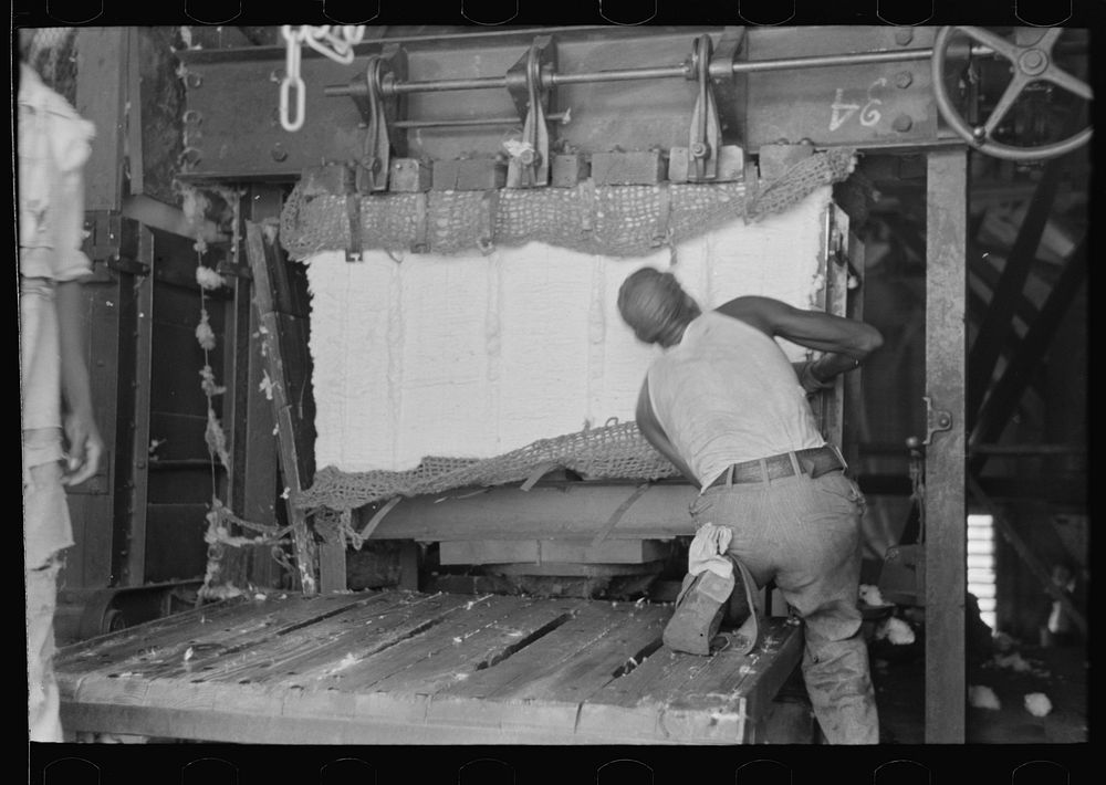[Untitled photo, possibly related to: Putting steel straps in place to hold pressed cotton after pressure has been removed…