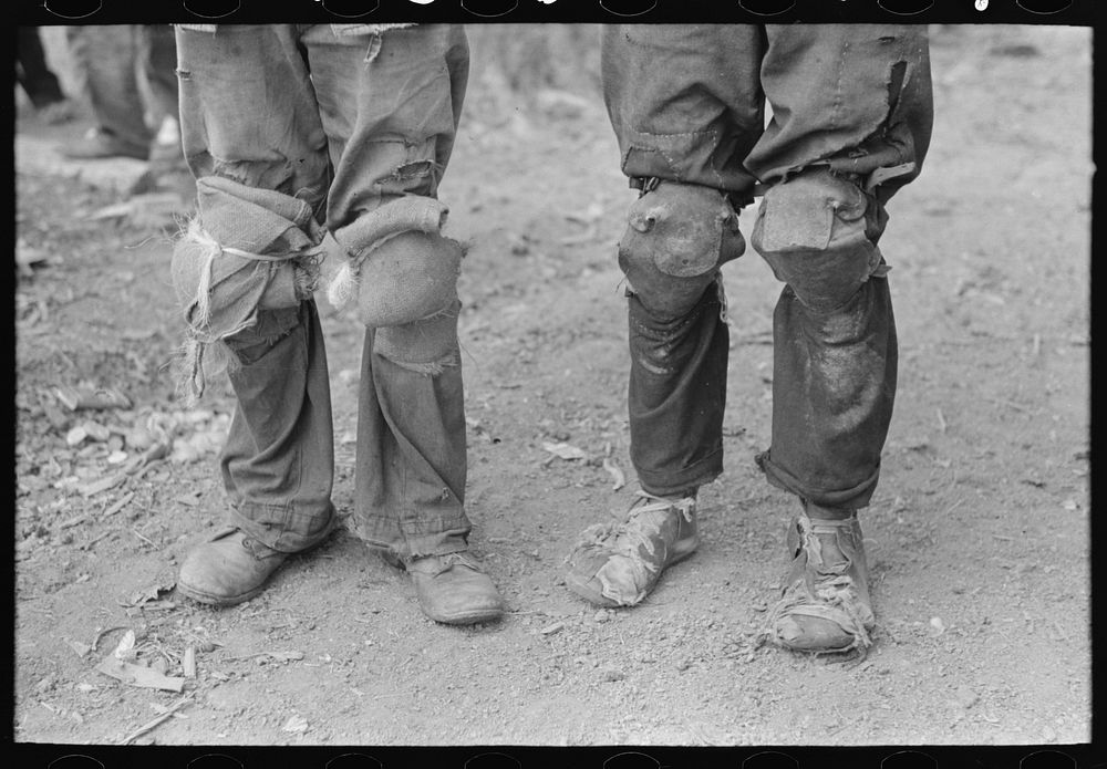 Cotton pickers with knee pads, Lehi, Arkansas by Russell Lee