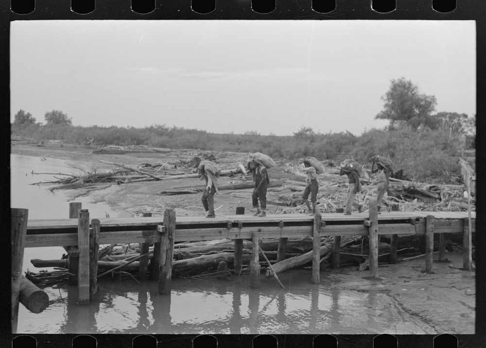 [Untitled photo, possibly related to: Unloading oysters from packet boat arriving at New Orleans, Louisiana] by Russell Lee