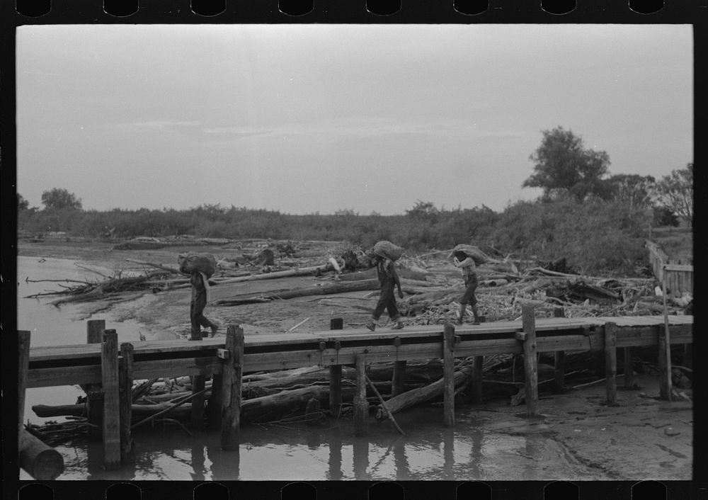 [Untitled photo, possibly related to: Unloading oysters from packet boat arriving at New Orleans, Louisiana] by Russell Lee