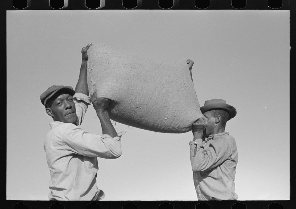 Workers hefting a bag of rice, Crowley, Louisiana by Russell Lee
