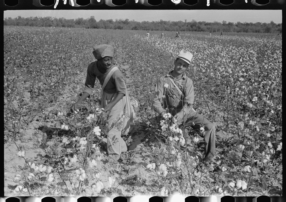 Cotton pickers, Lake Dick Project, Arkansas by Russell Lee