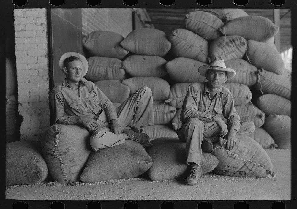 [Untitled photo, possibly related to: Farmers sitting on bags of rice, state mill, Abbeville, Louisiana] by Russell Lee