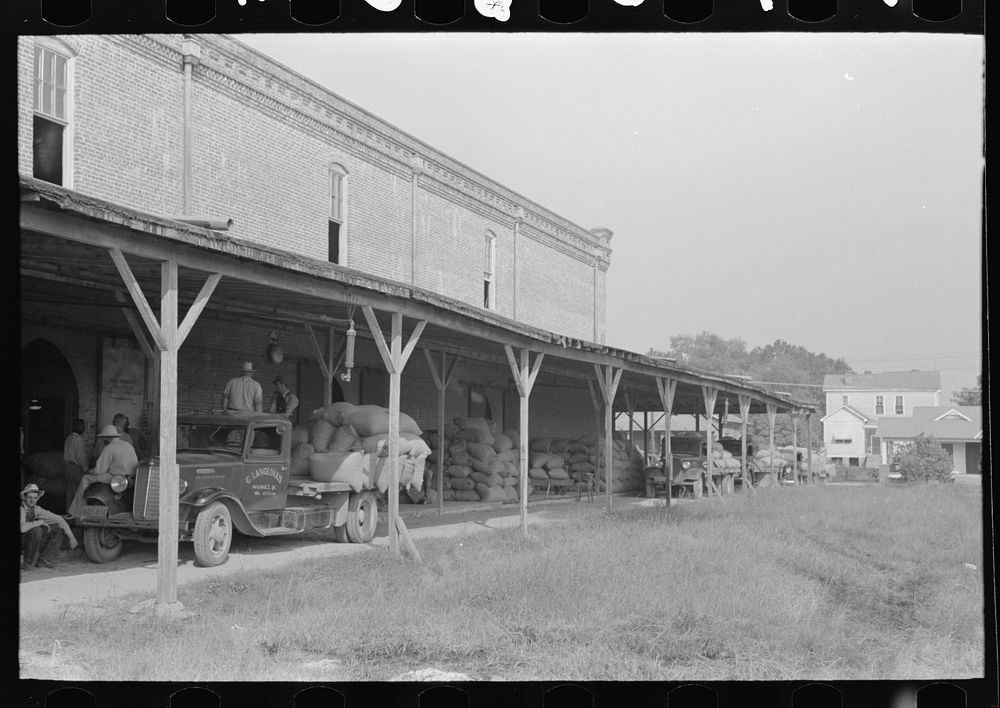 Unloading platform of state mill, Abbeville, Louisiana, with farmers' trucks waiting to be unloaded by Russell Lee