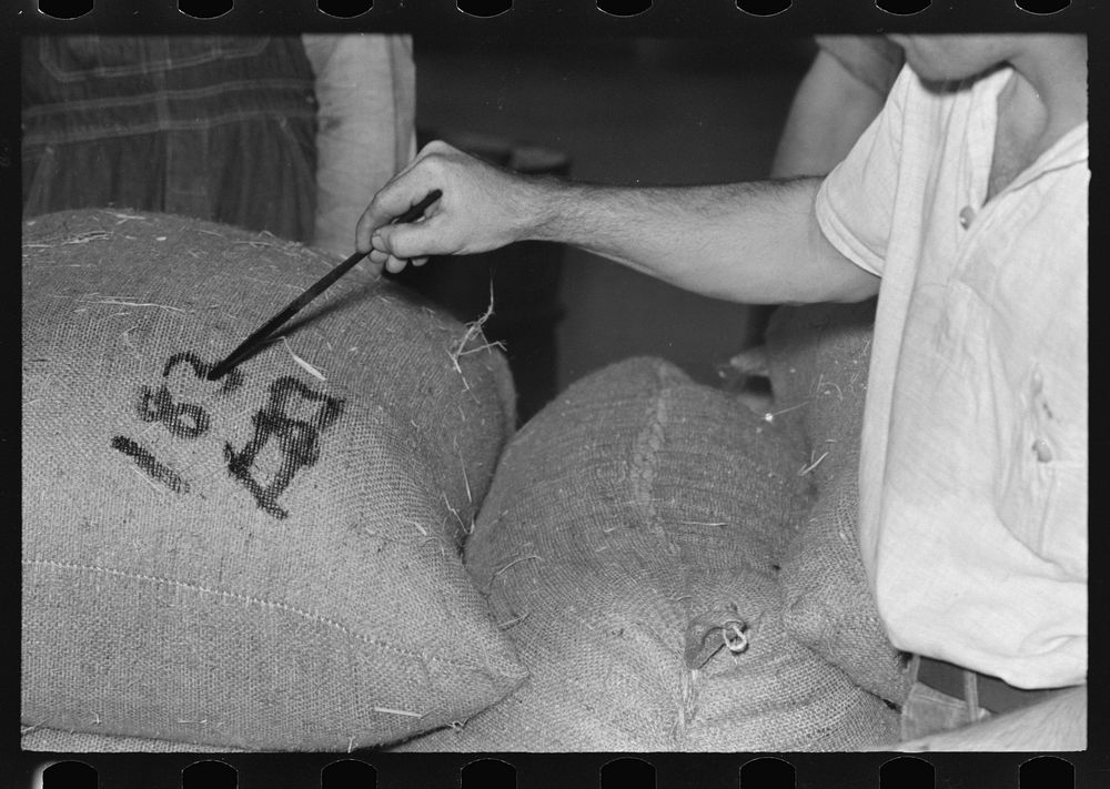 Painting sacks of rice for identification purpose, state rice mill, Abbeville, Louisiana by Russell Lee
