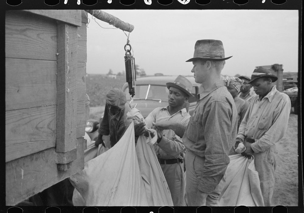 [Untitled photo, possibly related to: Day laborers, cotton pickers, waiting to be paid off at end of day's work. Lake Dick…