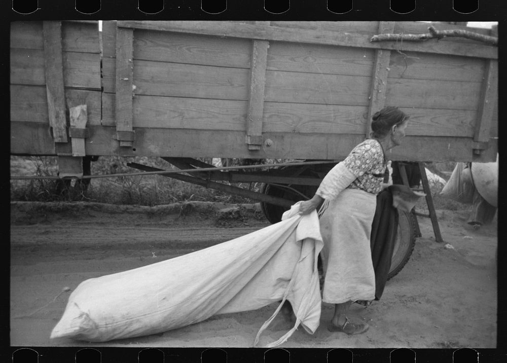 Woman cotton picker dragging bag of cotton, Lake Dick Project, Arkansas by Russell Lee
