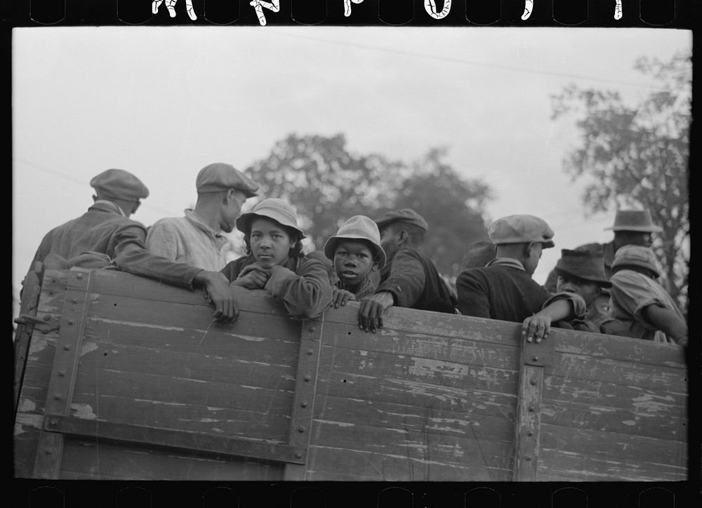 Cotton pickers in truck, Pine Bluff, Arkansas by Russell Lee