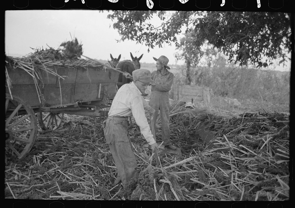 [Untitled photo, possibly related to: Reaching for grab used in hoisting hay to loft, Lake Dick Project, Arkansas] by…