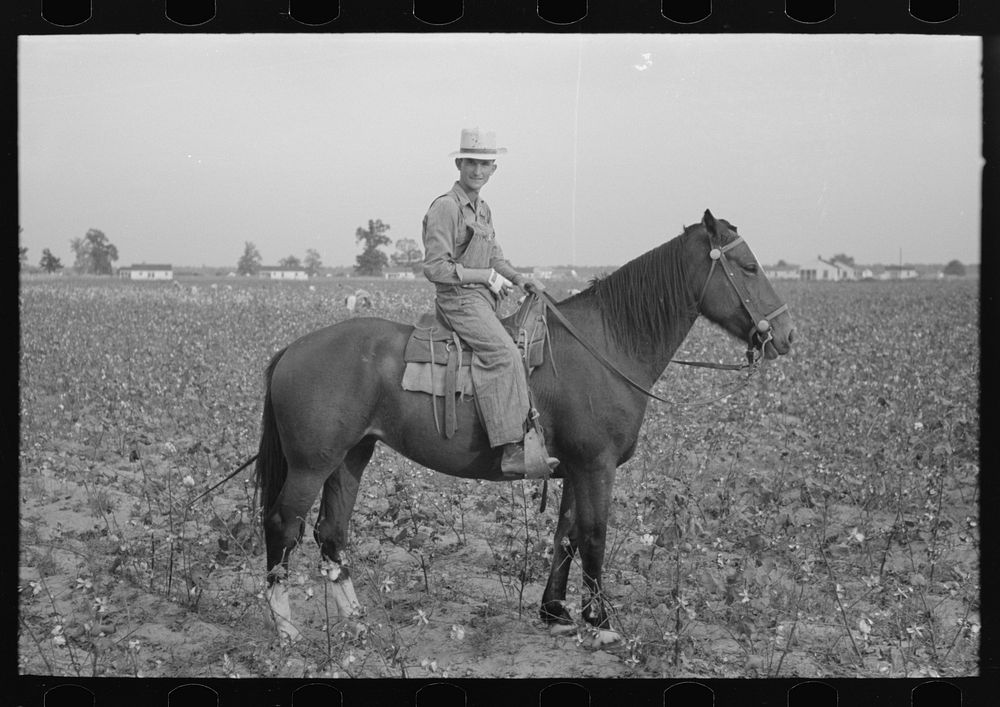 Member of cooperative association, overseer of cotton pickers, Lake Dick Project, Arkansas by Russell Lee