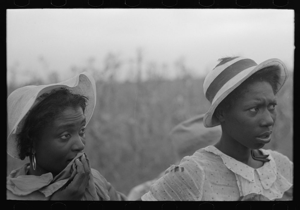 Laborers employed in picking cotton at Lake Dick Project, Arkansas by Russell Lee
