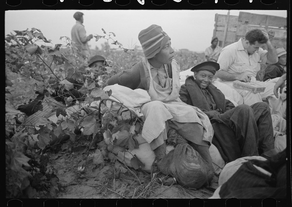 Day laborers, cotton pickers, in field, Lake Dick Project, Arkansas by Russell Lee