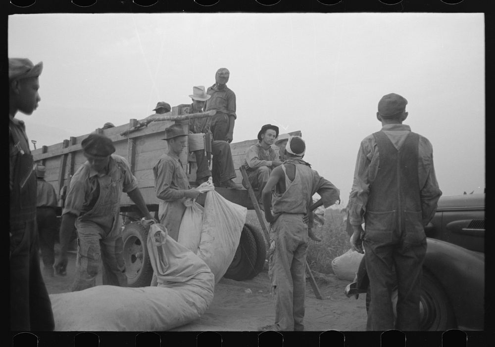 [Untitled photo, possibly related to: Day laborers, cotton pickers, waiting to be paid off at end of day's work. Lake Dick…