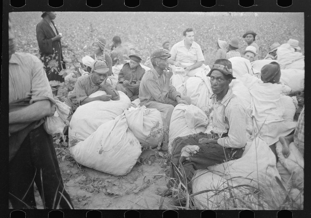 Day laborers, cotton pickers, waiting to be paid off at end of day's work. Lake Dick Project, Arkansas by Russell Lee