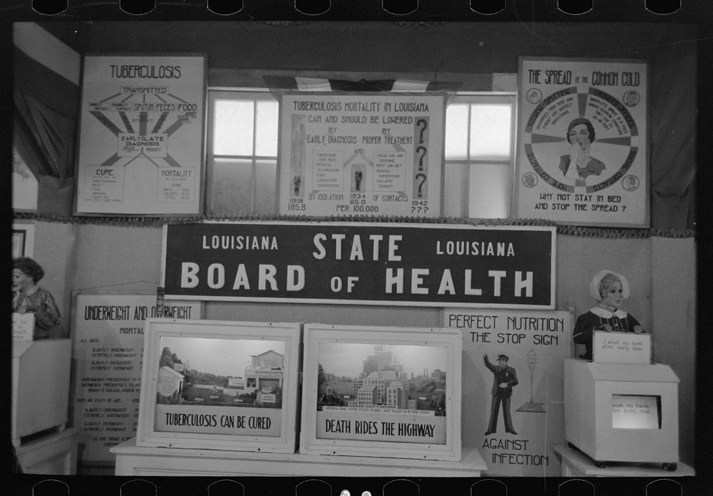 [Untitled photo, possibly related to: Display of state board of health at fair, Donaldsonville, Louisiana] by Russell Lee