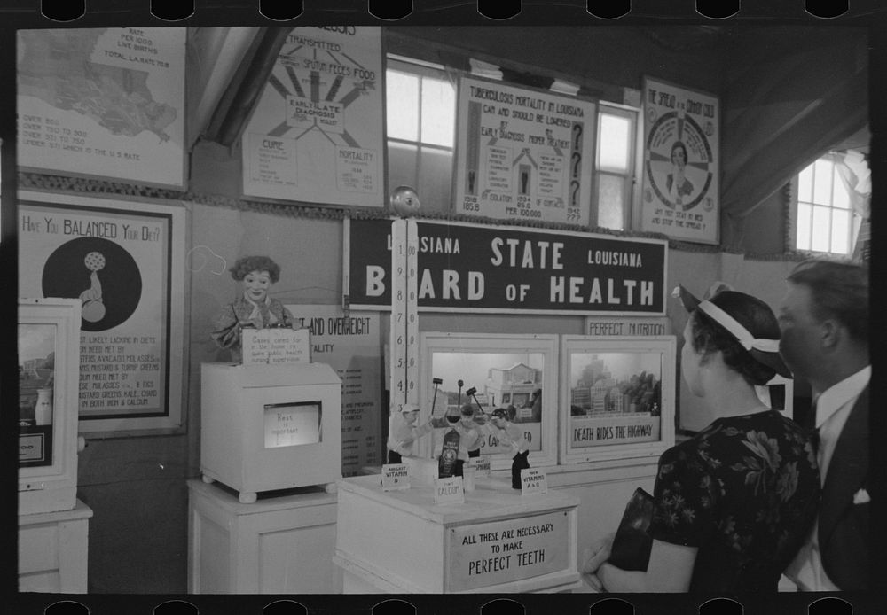 Display of state board of health at fair, Donaldsonville, Louisiana by Russell Lee