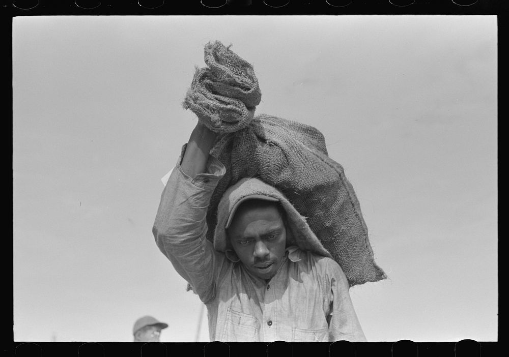 Stevedore with sack of oysters on back, Olga, Louisiana by Russell Lee
