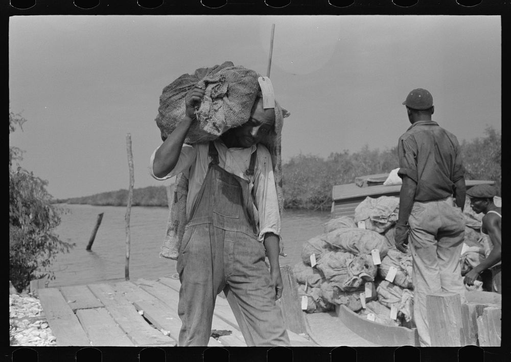 [Untitled photo, possibly related to:  stevedore with sack of oysters on back, Olga, Louisiana] by Russell Lee