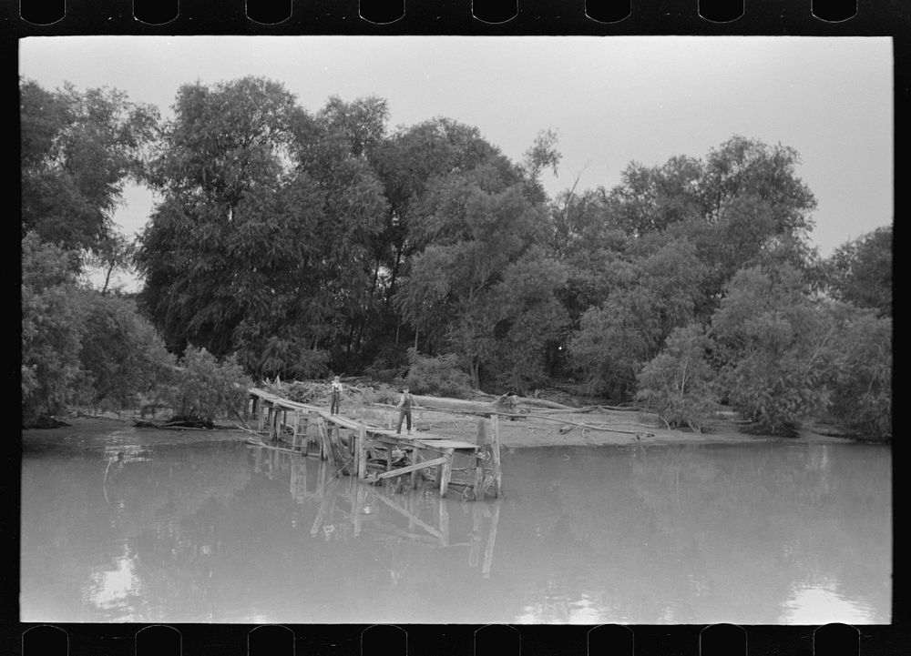 [Untitled photo, possibly related to: Unloading oysters from fisherman's boat, Olga, Louisiana] by Russell Lee