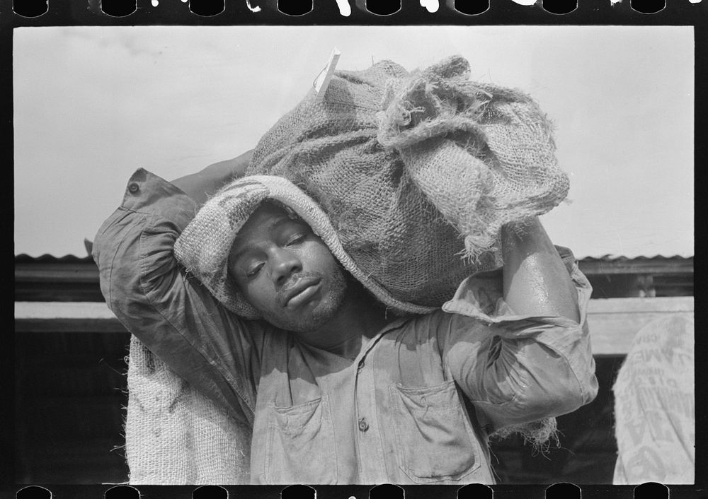 Stevedore with sack of oysters, Olga, Louisiana by Russell Lee