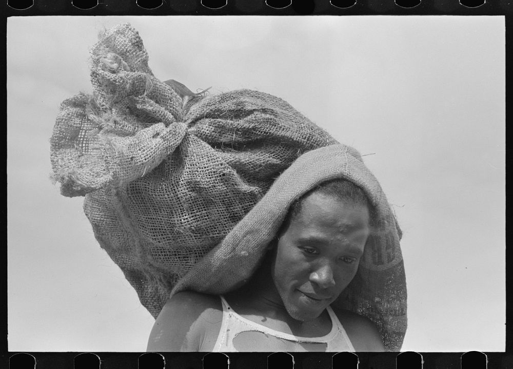  stevedore with sack of oysters, Olga, Louisiana by Russell Lee