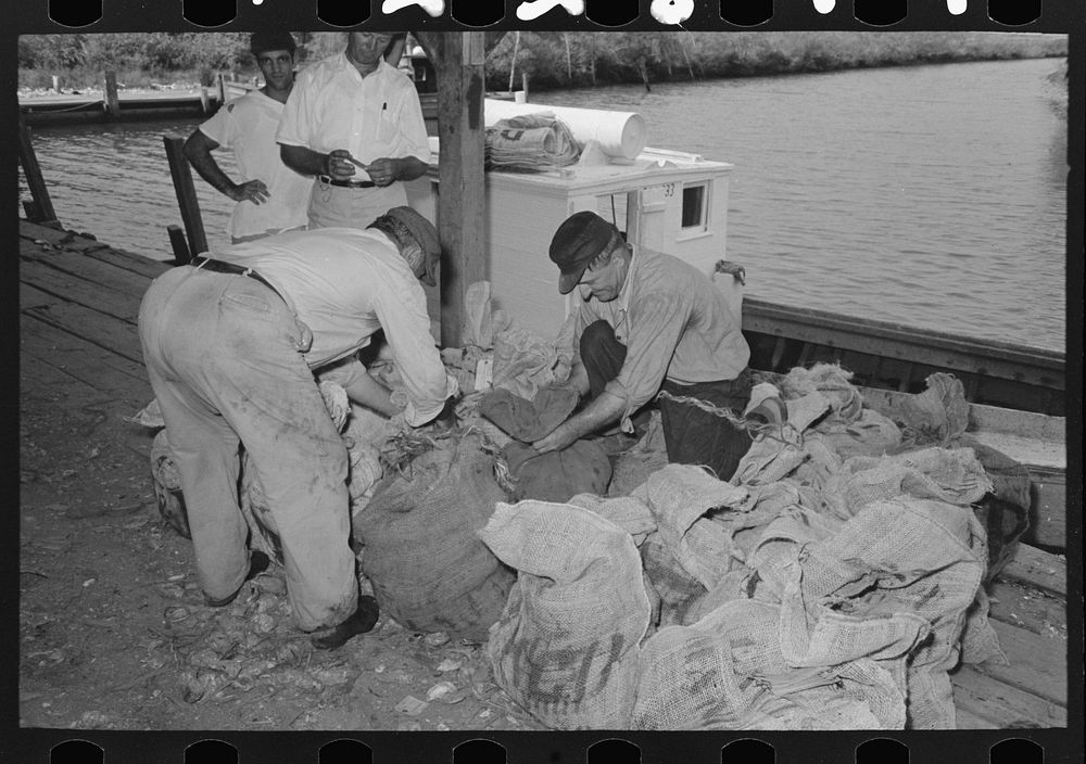 Tying sacks of oysters and attaching tags, Olga, Louisiana by Russell Lee