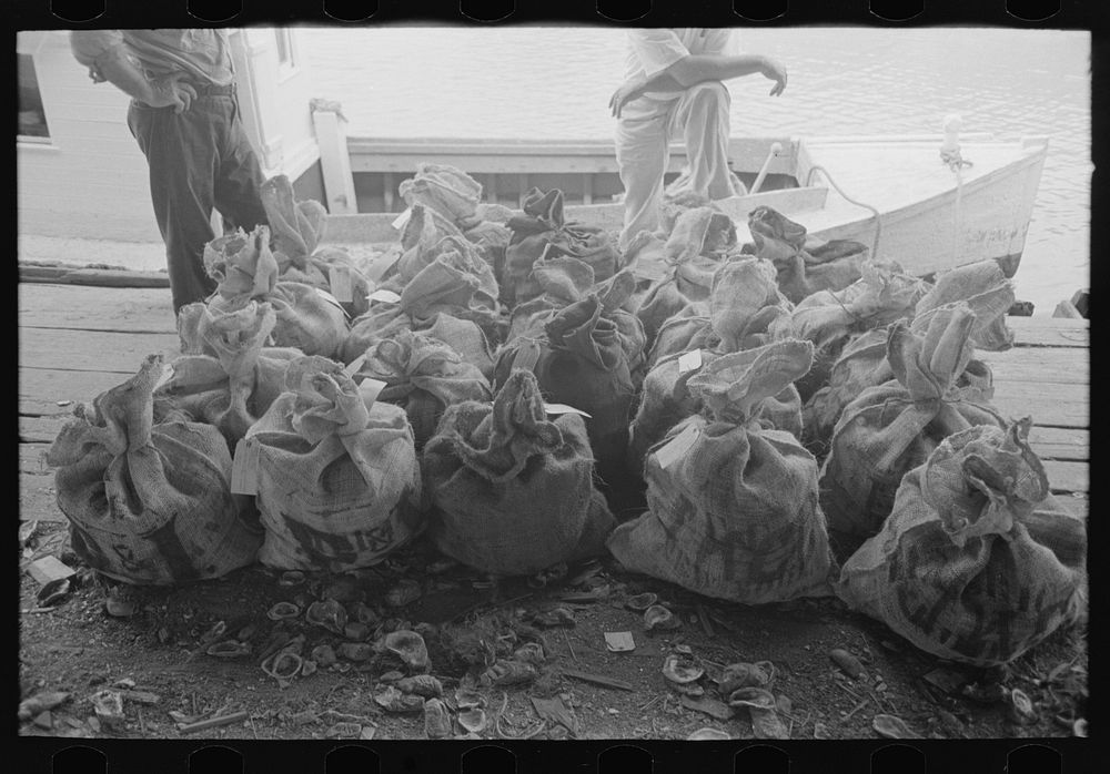 Sacks of oysters, Olga, Louisiana by Russell Lee