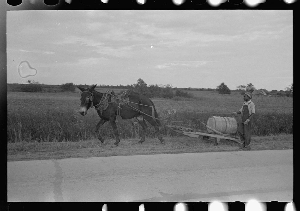 Mule-drawn wagon with water supply near Jeanerette, Louisiana by Russell Lee