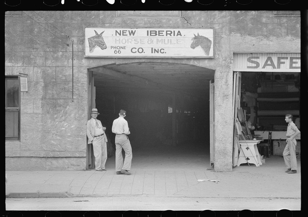 [Untitled photo, possibly related to: Horse and Mule Company, New Iberia, Louisiana] by Russell Lee