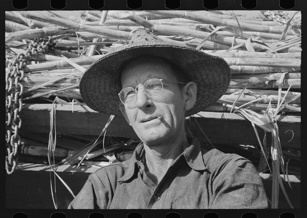 [Untitled photo, possibly related to: Sugarcane farmer near Delcambre, Louisiana] by Russell Lee
