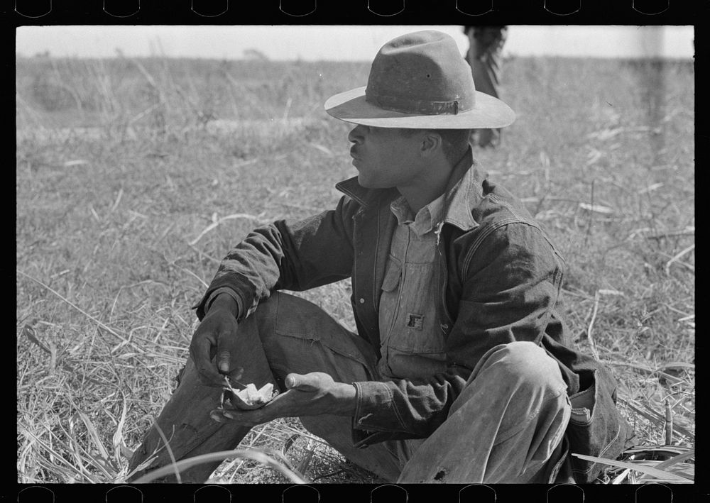 [Untitled photo, possibly related to:  sugarcane worker eating lunch in field near New Iberia, Louisiana] by Russell Lee
