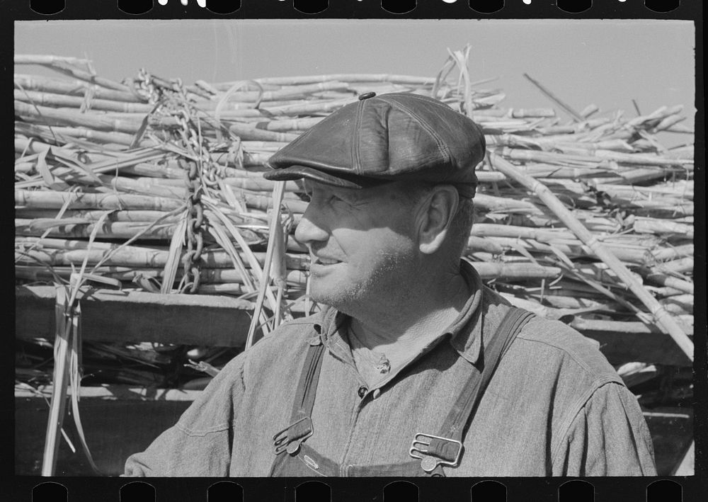 Sugarcane farmer, Delcambre, Louisiana by Russell Lee