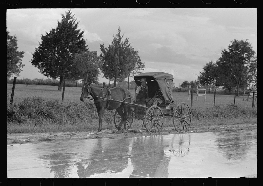 [Untitled photo, possibly related to: Buggy stopped on highway near Lafayette, Louisiana] by Russell Lee