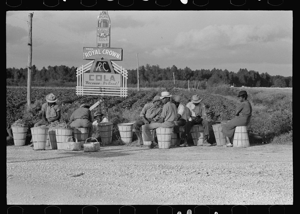 [Untitled photo, possibly related to: String bean pickers waiting along highway for trucks to pick them up near Gibson…