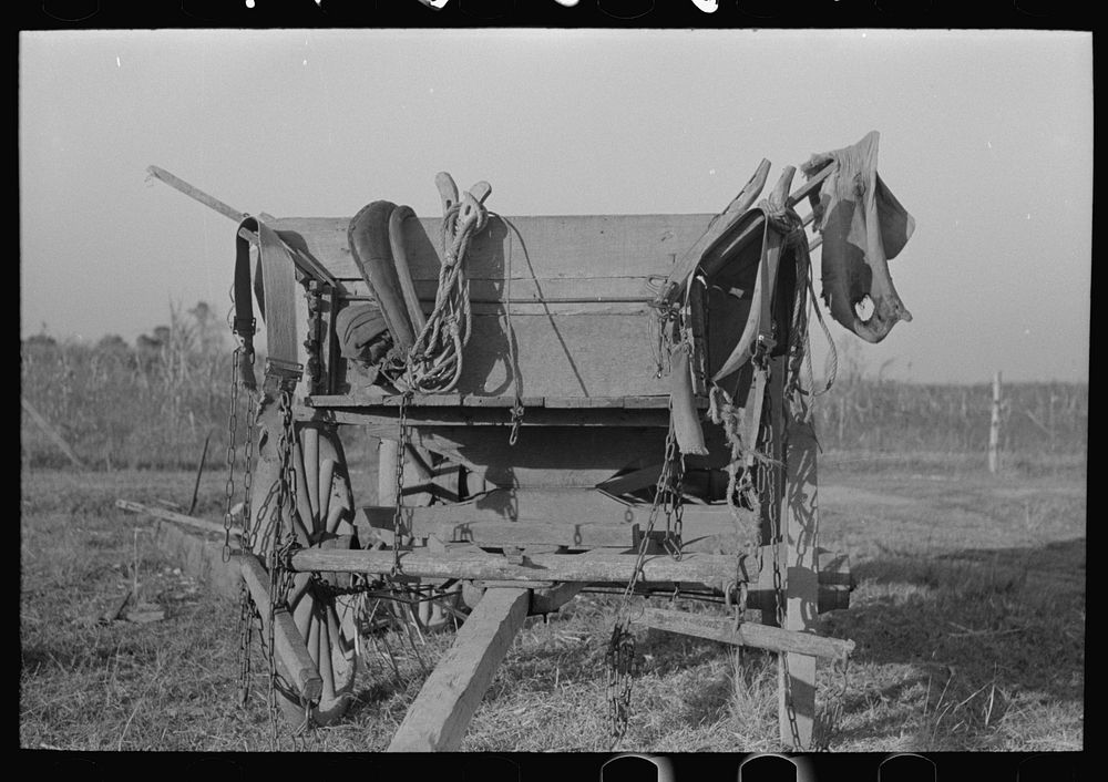 Wagon and harness belonging to Cajun sugarcane farmer near New Iberia, Louisiana by Russell Lee